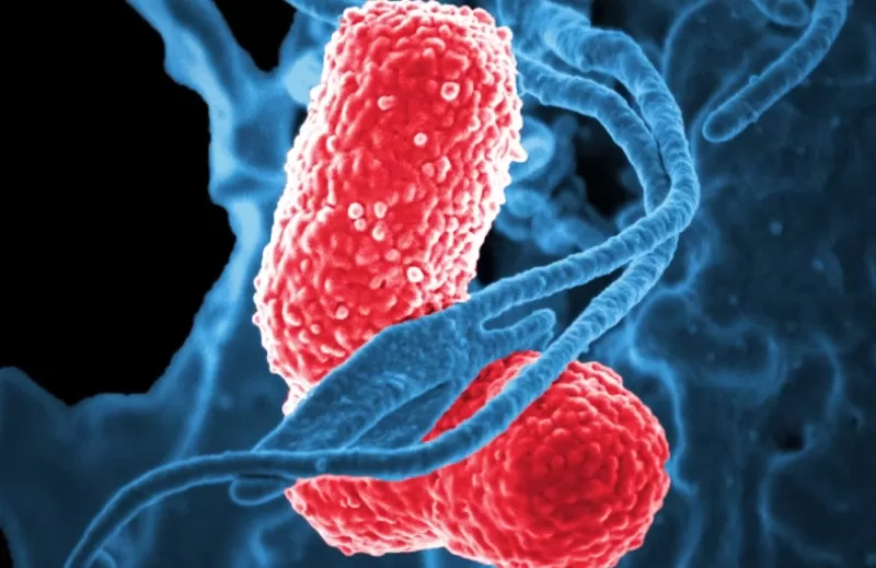 Разработка лекарств на основе ИИ: синтетический белок уничтожает супербактерии