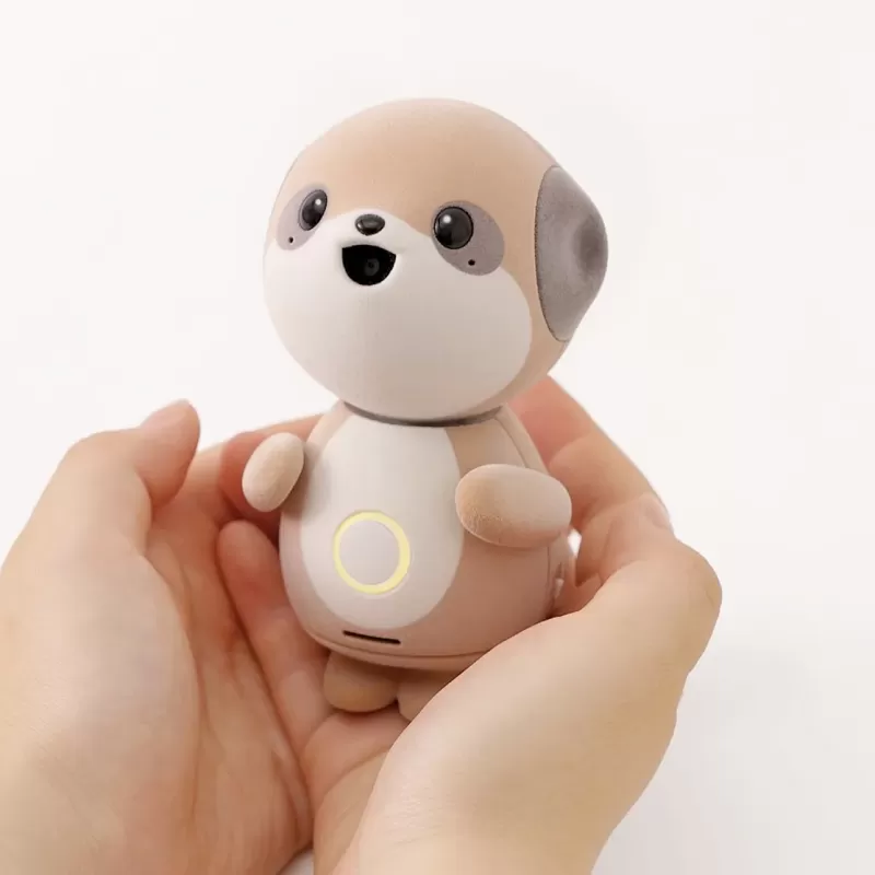 Poketomo в руках