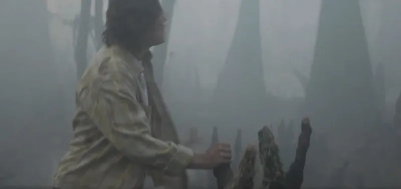 Лодка медленно плывет по воде среди огромных деревьев 