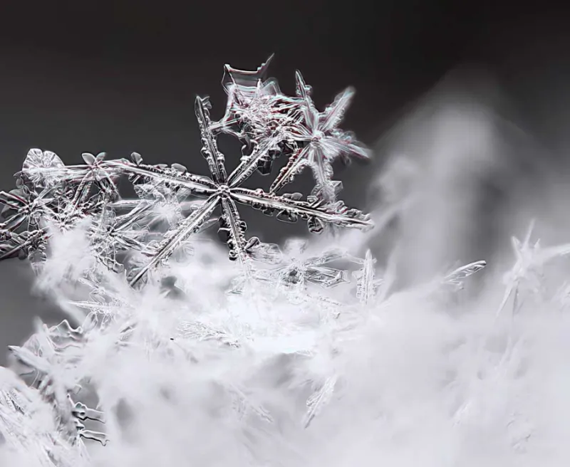 Huawei Mate 80 Pro Max и макросъёмка снежинок: как телеобъективы смартфона фиксируют микродетали льда