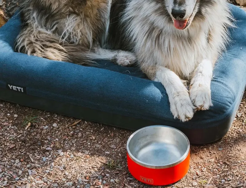 Yeti представила лежанку для собак Boomer Dog Bed с моющимся чехлом и поролоновым основанием по цене от 16 тыс. рублей