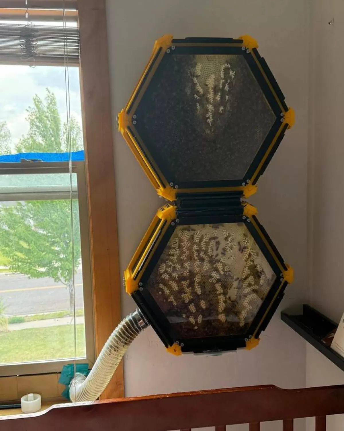 Модульный улей созданный с помощью 3D-печати