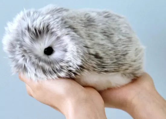 Робот-питомец Moflin лежит на руках