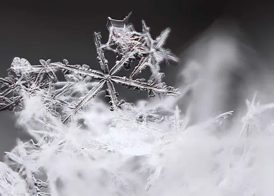 Huawei Mate 80 Pro Max и макросъёмка снежинок: как телеобъективы смартфона фиксируют микродетали льда