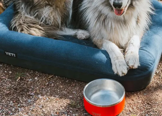 Yeti представила лежанку для собак Boomer Dog Bed с моющимся чехлом и поролоновым основанием по цене от 16 тыс. рублей